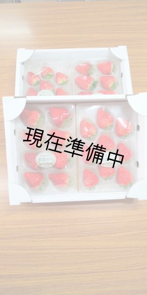 画像1: 石橋農園贈答用イチゴ【おまかせ品種食べ比べ4トレーセット】 (1)