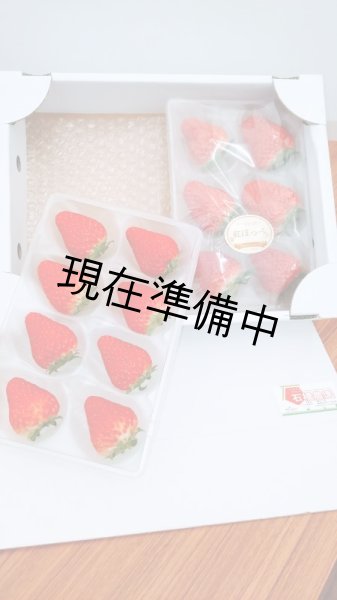 画像1: 石橋農園贈答用イチゴ【紅ほっぺ2トレーセット】 (1)